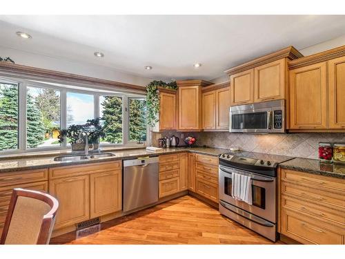 2945 Toronto Crescent Nw, Calgary, AB - Indoor Photo Showing Kitchen With Double Sink