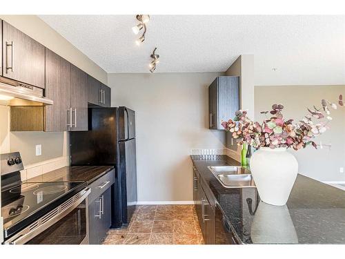 319-15 Saddlestone Way Ne, Calgary, AB - Indoor Photo Showing Kitchen With Double Sink