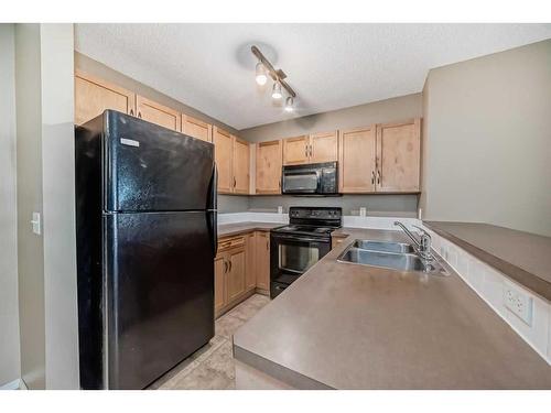 1205-115 Prestwick Villas Se, Calgary, AB - Indoor Photo Showing Kitchen With Double Sink