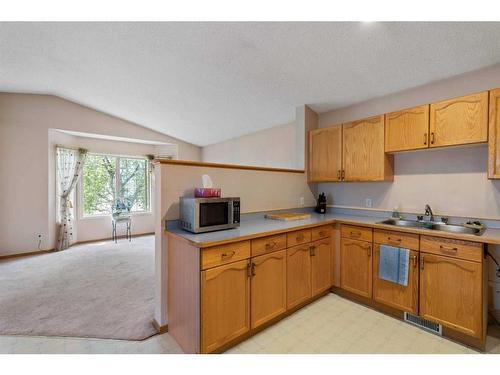 205 Martin Crossing Way Ne, Calgary, AB - Indoor Photo Showing Kitchen With Double Sink