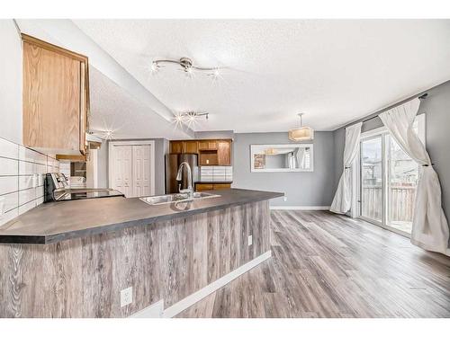 33 Royal Elm Mews Nw, Calgary, AB - Indoor Photo Showing Kitchen With Double Sink