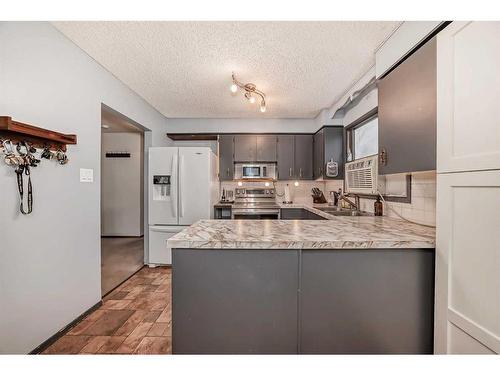231 Penmeadows Close Se, Calgary, AB - Indoor Photo Showing Kitchen With Double Sink With Upgraded Kitchen