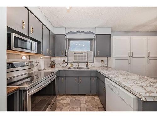 231 Penmeadows Close Se, Calgary, AB - Indoor Photo Showing Kitchen With Double Sink