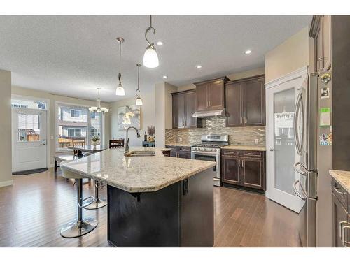 476 Skyview Shores Manor Ne, Calgary, AB - Indoor Photo Showing Kitchen With Upgraded Kitchen
