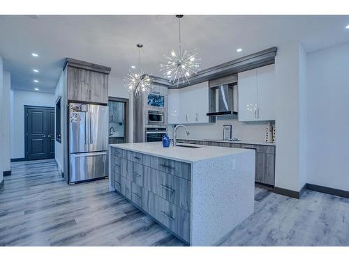 17 Skyview Springs Road Ne, Calgary, AB - Indoor Photo Showing Kitchen With Upgraded Kitchen