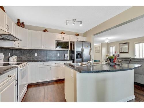 108 Saddlecrest Gardens Ne, Calgary, AB - Indoor Photo Showing Kitchen With Double Sink With Upgraded Kitchen