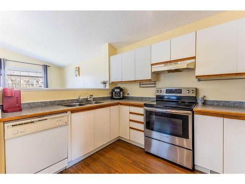 141 Martin Crossing Crescent Ne, Calgary, AB - Indoor Photo Showing Kitchen With Double Sink