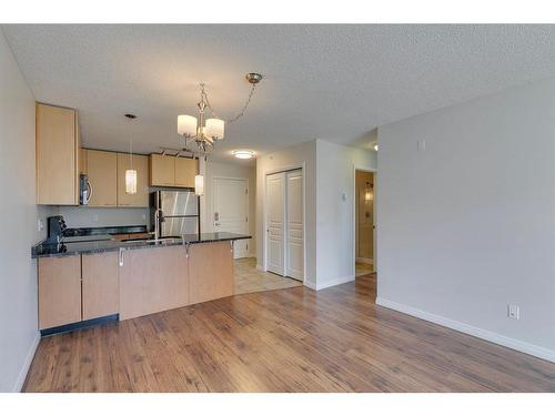 425-22 Richard Place Sw, Calgary, AB - Indoor Photo Showing Kitchen With Double Sink