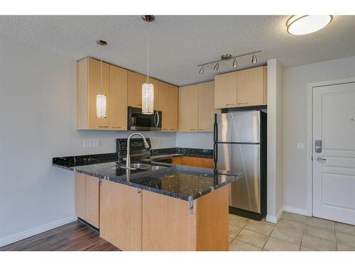 425-22 Richard Place Sw, Calgary, AB - Indoor Photo Showing Kitchen With Double Sink