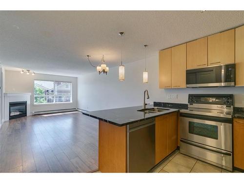 425-22 Richard Place Sw, Calgary, AB - Indoor Photo Showing Kitchen With Fireplace With Double Sink