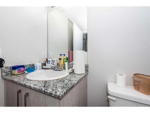 3217-4641 128 Ave Ne Avenue South, Calgary, AB - Indoor Photo Showing Bathroom