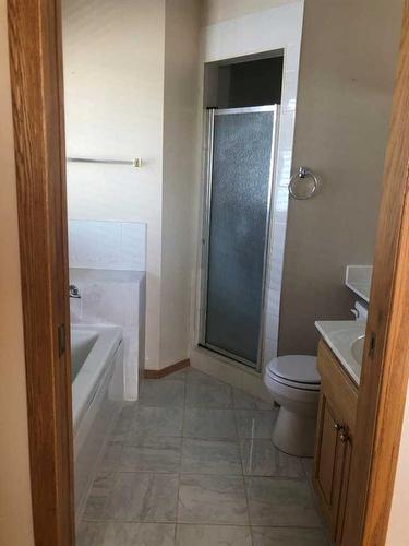 360 Millrise Drive Sw, Calgary, AB - Indoor Photo Showing Bathroom