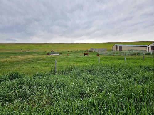30031 Highway 507 East, Rural Pincher Creek No. 9, M.D. Of, AB - Outdoor With View