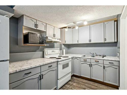 52 Pennsburg Way Se, Calgary, AB - Indoor Photo Showing Kitchen