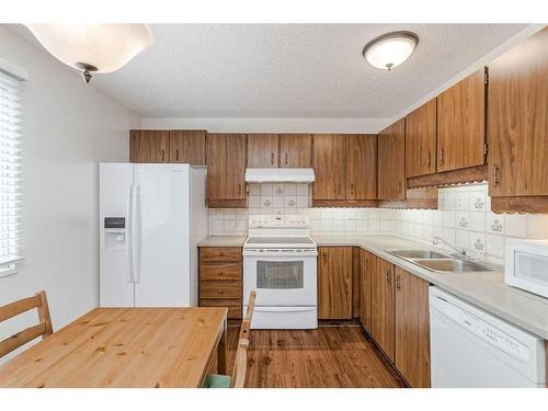 119 Erin Mount Crescent Se, Calgary, AB - Indoor Photo Showing Kitchen With Double Sink