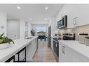 215 Les Jardins Park Se, Calgary, AB  - Indoor Photo Showing Kitchen With Stainless Steel Kitchen With Double Sink With Upgraded Kitchen 