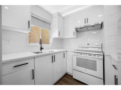 4419 58 Street Ne, Calgary, AB - Indoor Photo Showing Kitchen With Double Sink