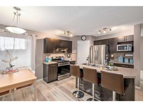 38 Autumn Green Se, Calgary, AB - Indoor Photo Showing Kitchen With Stainless Steel Kitchen