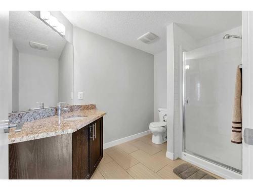 304-117 19 Avenue Ne, Calgary, AB - Indoor Photo Showing Bathroom