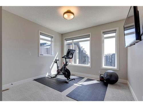 24 Royal Elm Green Nw, Calgary, AB - Indoor Photo Showing Gym Room