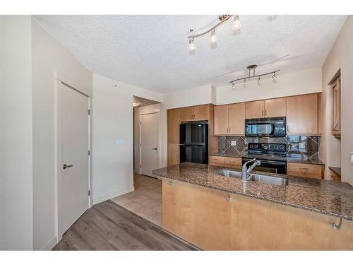 619-8880 Horton Road Sw, Calgary, AB - Indoor Photo Showing Kitchen With Double Sink