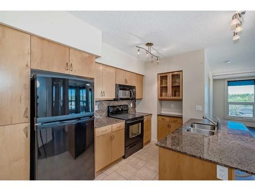 619-8880 Horton Road Sw, Calgary, AB - Indoor Photo Showing Kitchen With Double Sink