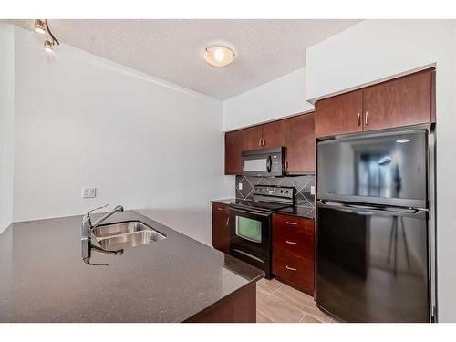 1511-8880 Horton Road Sw, Calgary, AB - Indoor Photo Showing Kitchen With Double Sink