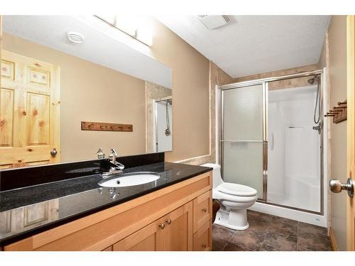 731 Lakeside Drive, Rural Vulcan County, AB - Indoor Photo Showing Bathroom