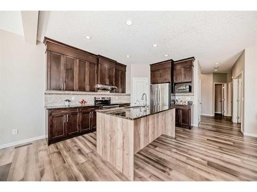 248 Panatella Cape Nw, Calgary, AB - Indoor Photo Showing Kitchen With Stainless Steel Kitchen With Upgraded Kitchen
