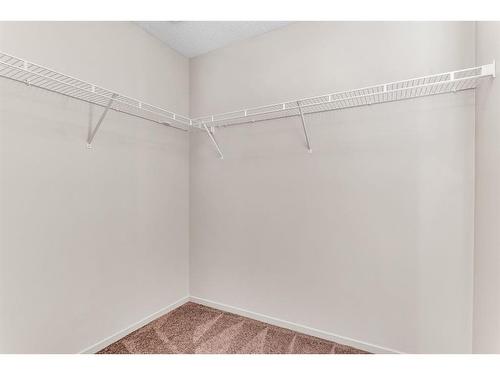 267 Copperstone Cove Se, Calgary, AB - Indoor With Storage