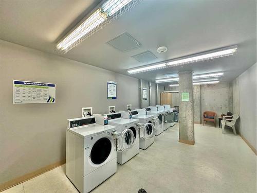 314-100 Cranfield Common Se, Calgary, AB - Indoor Photo Showing Laundry Room