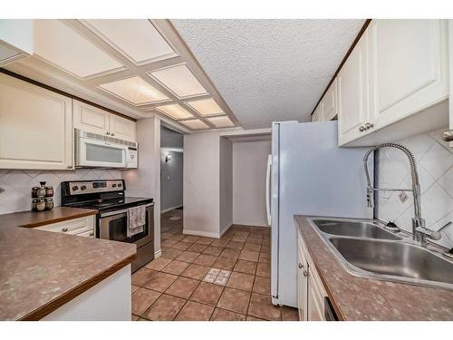 201-1625 14 Avenue Sw, Calgary, AB - Indoor Photo Showing Kitchen With Double Sink