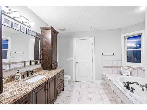 235200 Range Road 281, Rural Rocky View County, AB - Indoor Photo Showing Bathroom