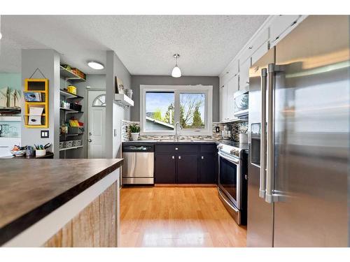 241 Madeira Crescent Ne, Calgary, AB - Indoor Photo Showing Kitchen With Double Sink