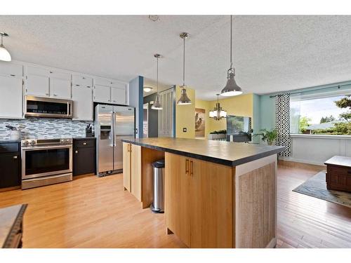 241 Madeira Crescent Ne, Calgary, AB - Indoor Photo Showing Kitchen With Upgraded Kitchen