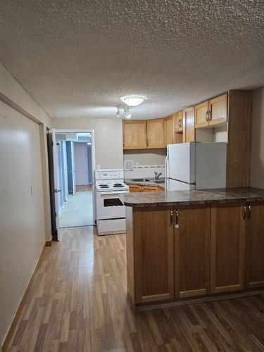 3135 41 Street Sw, Calgary, AB - Indoor Photo Showing Kitchen