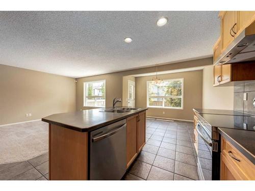 107 Brightondale Crescent Se, Calgary, AB - Indoor Photo Showing Kitchen With Double Sink