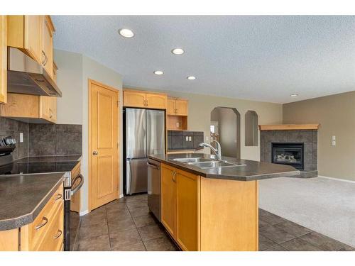 107 Brightondale Crescent Se, Calgary, AB - Indoor Photo Showing Kitchen With Stainless Steel Kitchen With Double Sink