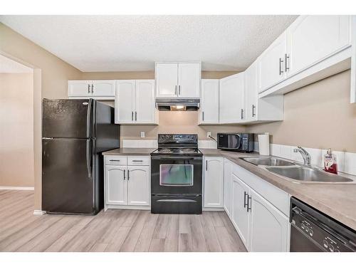 233 Saddlebrook Point Ne, Calgary, AB - Indoor Photo Showing Kitchen With Double Sink