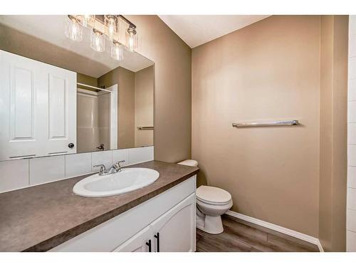 233 Saddlebrook Point Ne, Calgary, AB - Indoor Photo Showing Bathroom