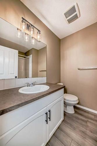 233 Saddlebrook Point Ne, Calgary, AB - Indoor Photo Showing Bathroom