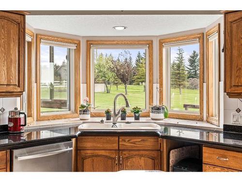 243127 Range Road 281A, Rural Rocky View County, AB - Indoor Photo Showing Kitchen With Double Sink