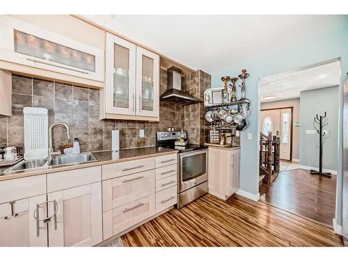 6732 34 Avenue Ne, Calgary, AB - Indoor Photo Showing Kitchen With Double Sink With Upgraded Kitchen