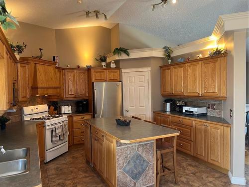 6009 60 Street, Olds, AB - Indoor Photo Showing Kitchen With Double Sink