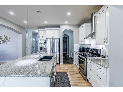 109 Brightonwoods Crescent Se, Calgary, AB - Indoor Photo Showing Kitchen With Stainless Steel Kitchen With Double Sink With Upgraded Kitchen