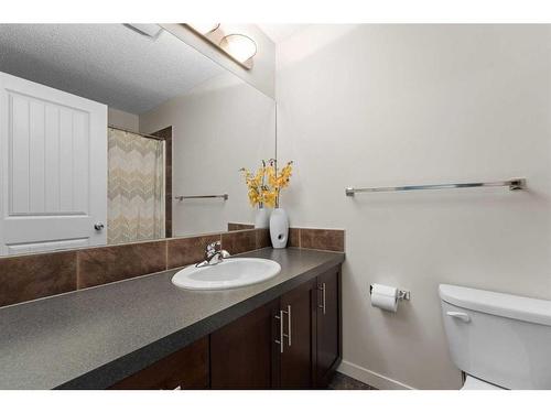 57 Copperpond Landing Se, Calgary, AB - Indoor Photo Showing Bathroom