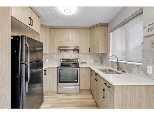 120 Martinbrook Road Ne, Calgary, AB - Indoor Photo Showing Kitchen With Double Sink