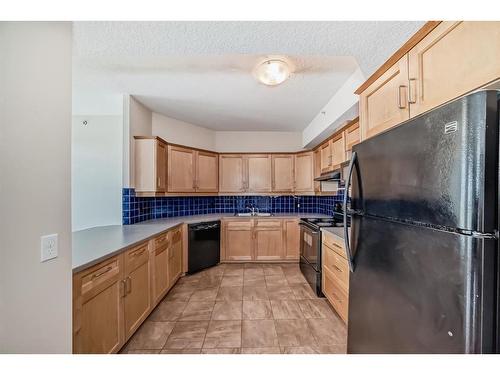 402-4 14 Street Nw, Calgary, AB - Indoor Photo Showing Kitchen