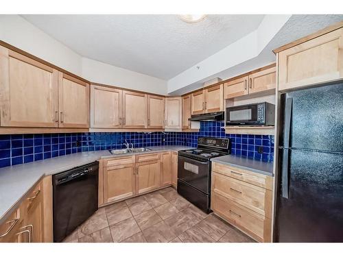 402-4 14 Street Nw, Calgary, AB - Indoor Photo Showing Kitchen With Double Sink