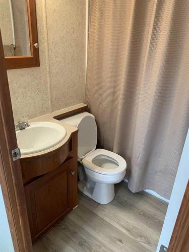 155 Cormorant Crescent, Rural Vulcan County, AB - Indoor Photo Showing Bathroom